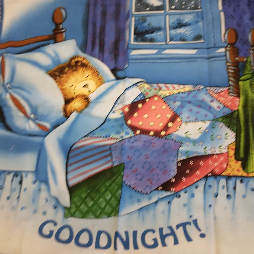 FABRIC PANEL Pillow Panel GOODNIGHT! Featuring A Sweet Sleeping Teddy Bear